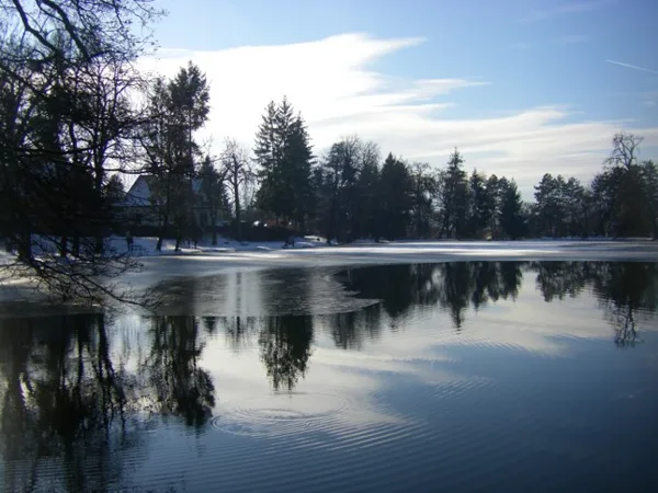 8. Tárkányi-tó