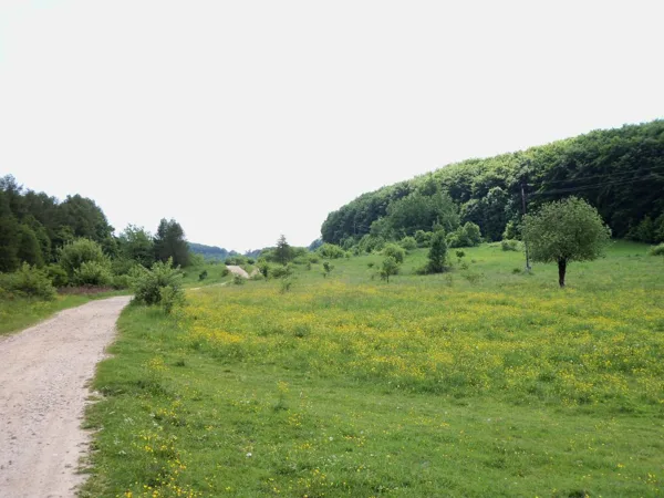 Híres Bükki Rétek