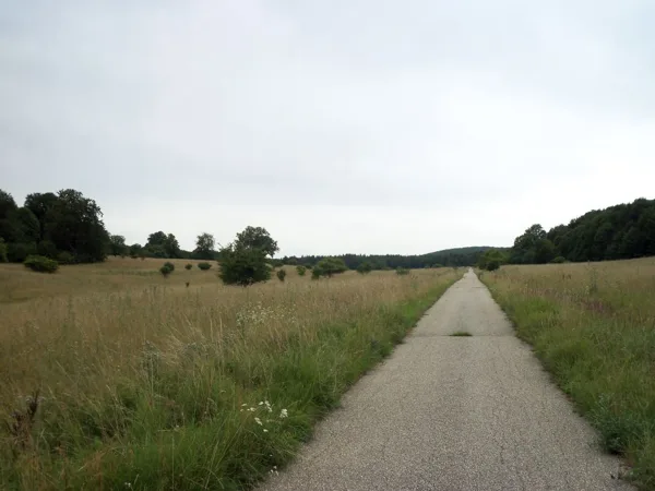 5. Dorongós