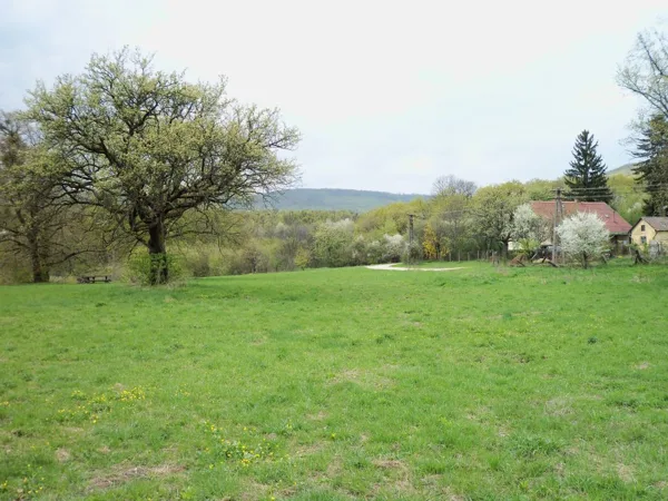 11. Kékmező