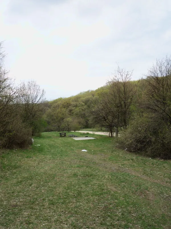 18. Szederbokor