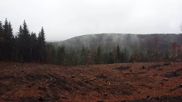 2017.11.18 - Hegyre Fel! TE - Híres Bükki Rétek 1. túra